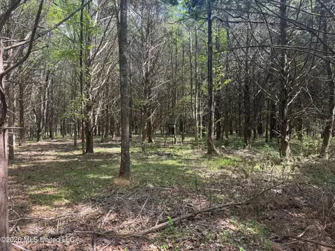 150 Central Blvd, Flora, MS 39071 photo 34