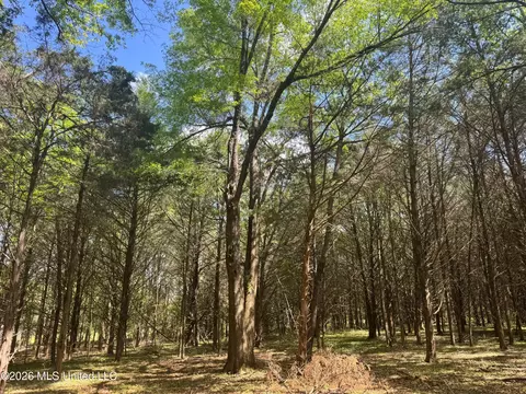 150 Central Blvd, Flora, MS 39071 photo 35