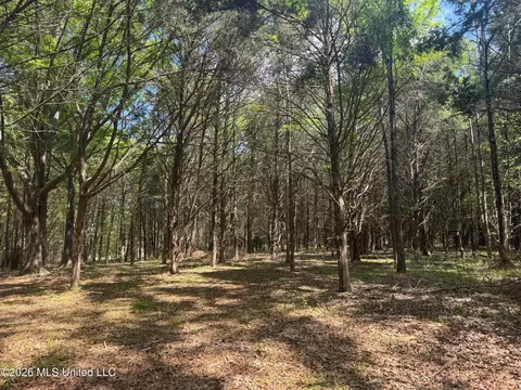 150 Central Blvd, Flora, MS 39071 photo 33