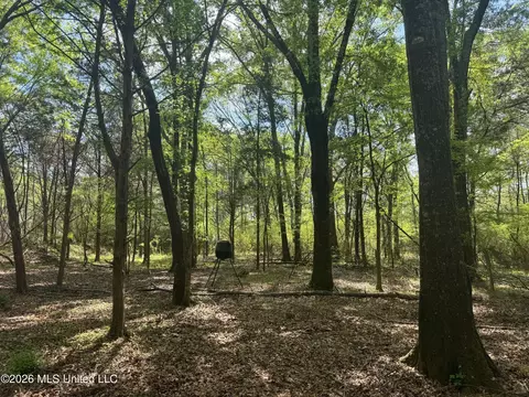 150 Central Blvd, Flora, MS 39071 photo 30