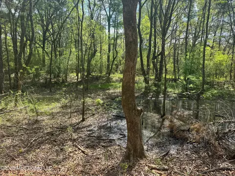 150 Central Blvd, Flora, MS 39071 photo 19