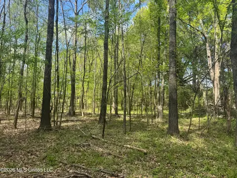 150 Central Blvd, Flora, MS 39071 photo 43