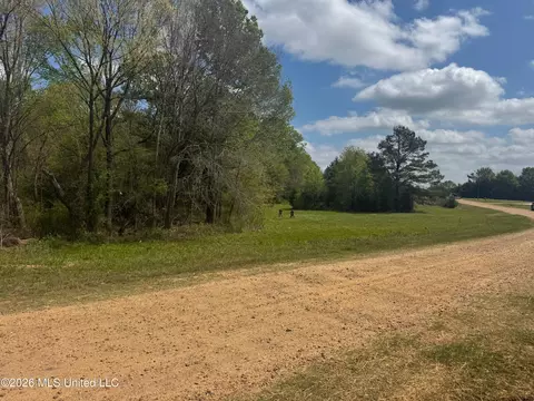150 Central Blvd, Flora, MS 39071 photo 12