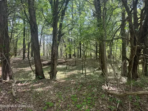 150 Central Blvd, Flora, MS 39071 photo 21