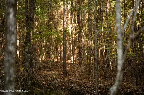 Sandflat Road, Meridian, MS 39301 photo 5