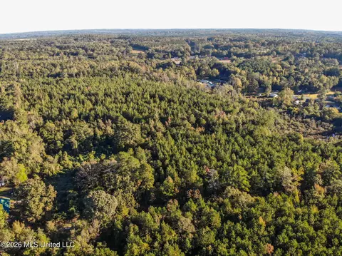 Sandflat Road, Meridian, MS 39301 photo 9