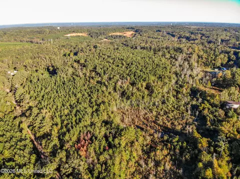 Sandflat Road, Meridian, MS 39301 photo 8