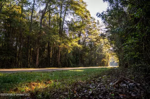 Sandflat Road, Meridian, MS 39301 photo 2
