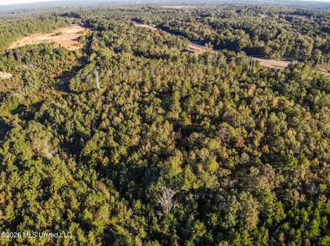 Sandflat Road, Meridian, MS 39301 photo 10