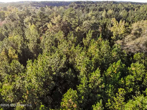 Sandflat Road, Meridian, MS 39301 photo 11