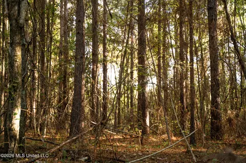 Sandflat Road, Meridian, MS 39301 photo 4