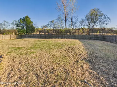 Exterior - 3337 Pecan Estates Dr, Hernando, MS 38632 photo 4 of 4