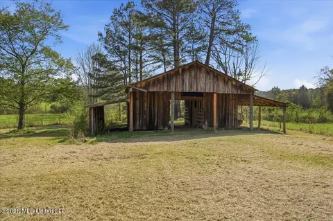 410 Carson Rd, Carthage, MS 39051 photo 43