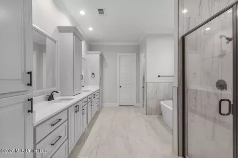 Bath - 2140 Herons Bay Cir, Madison, MS 39110 photo 2 of 4
