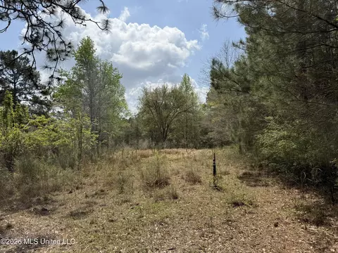 21497 Sadler Rd, Saucier, MS 39574 photo 9