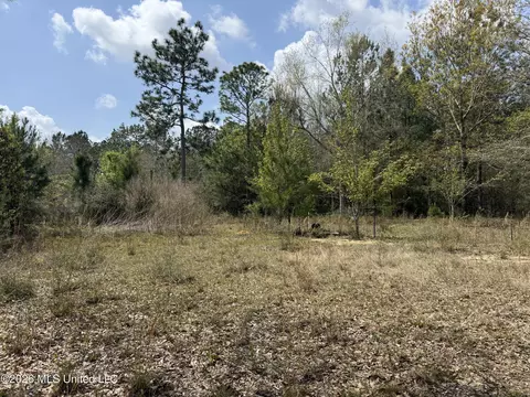 21497 Sadler Rd, Saucier, MS 39574 photo 10