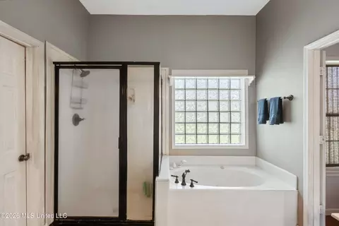 Bath - 650 Fairway Dr, Hernando, MS 38632 photo 3 of 5