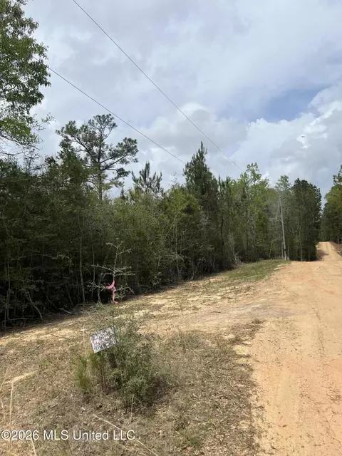 21 Range Line Rd, Perkinston, MS 39573 photo 7