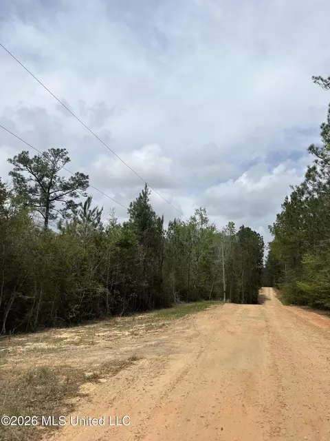 21 Range Line Rd, Perkinston, MS 39573 photo 4