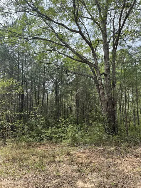 21 Range Line Rd, Perkinston, MS 39573