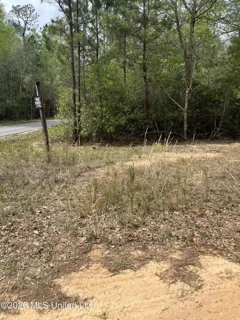 21 Range Line Rd, Perkinston, MS 39573 photo 3