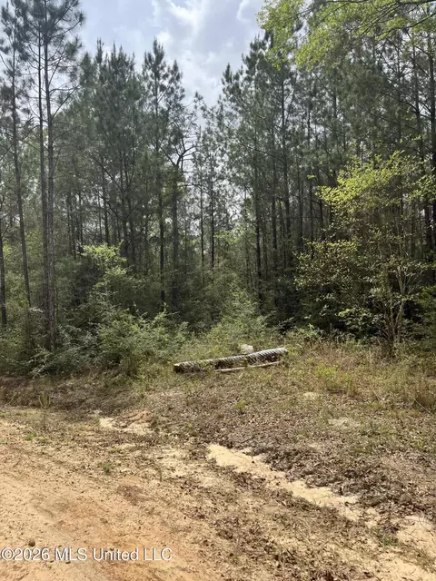 21 Range Line Rd, Perkinston, MS 39573 photo 2
