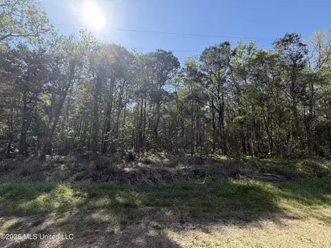 Apple St. Street, Ocean Springs, MS 39564