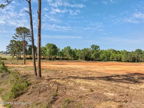 00 Us Highway 49, Magee, MS 39111 photo 17