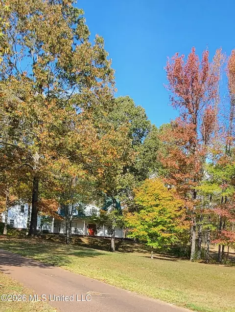 Other - 3876 Kyle Ln, Hernando, MS 38632 photo 1 of 18
