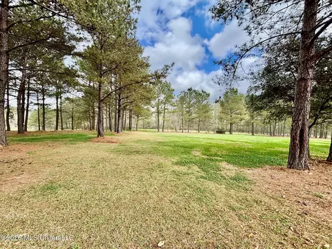 Exterior - 7019 W Topisaw S, Summit, MS 39666 photo 9 of 10