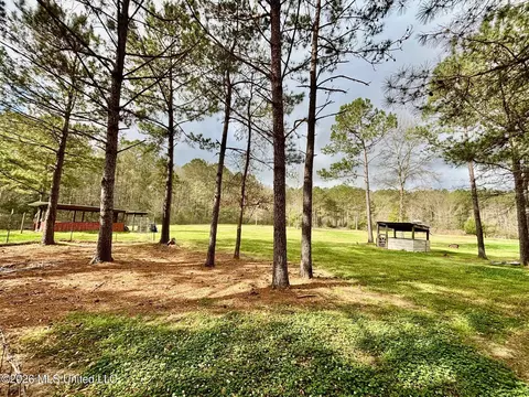 Exterior - 7019 W Topisaw S, Summit, MS 39666 photo 8 of 10