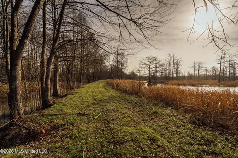 1549 County Road 99, Sidon, MS 38954 photo 28