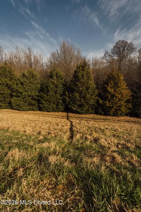 1549 County Road 99, Sidon, MS 38954 photo 25