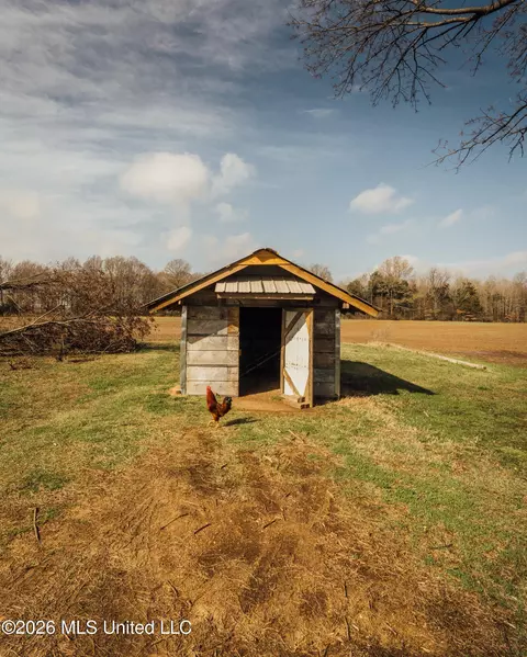 1549 County Road 99, Sidon, MS 38954 photo 34