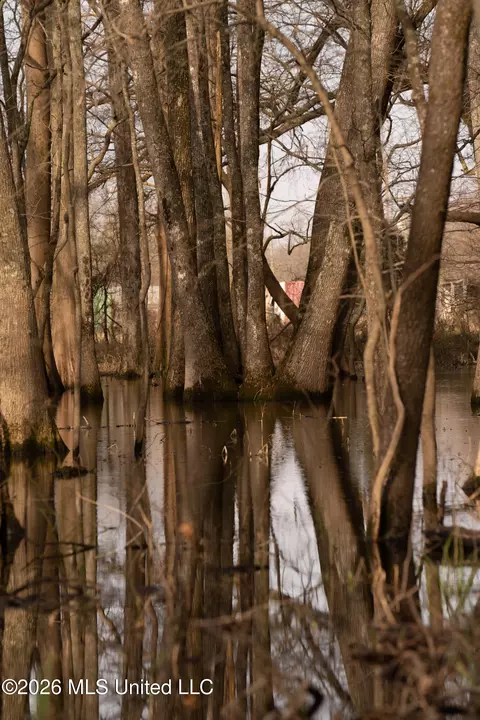 1549 County Road 99, Sidon, MS 38954 photo 49