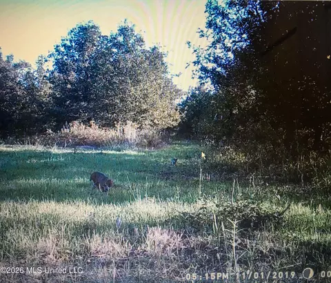 1549 County Road 99, Sidon, MS 38954 photo 105
