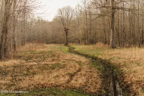 1549 County Road 99, Sidon, MS 38954 photo 41