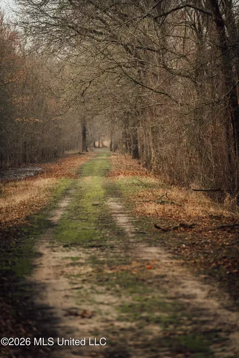 1549 County Road 99, Sidon, MS 38954 photo 45
