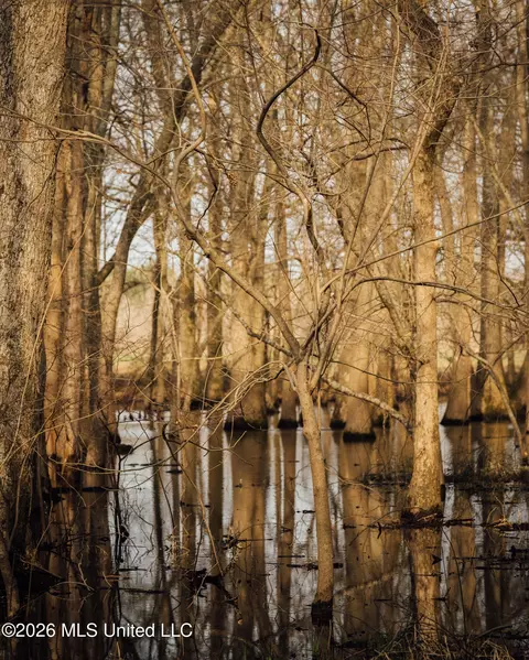 1549 County Road 99, Sidon, MS 38954 photo 48