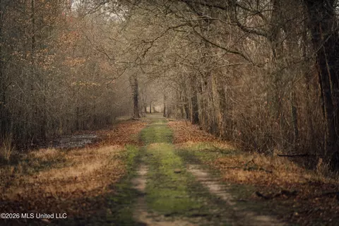1549 County Road 99, Sidon, MS 38954 photo 46
