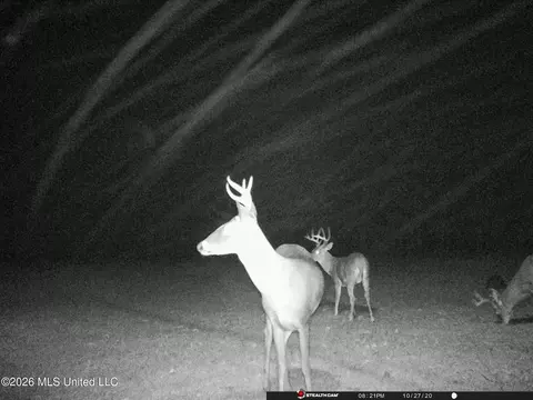 1549 County Road 99, Sidon, MS 38954 photo 87