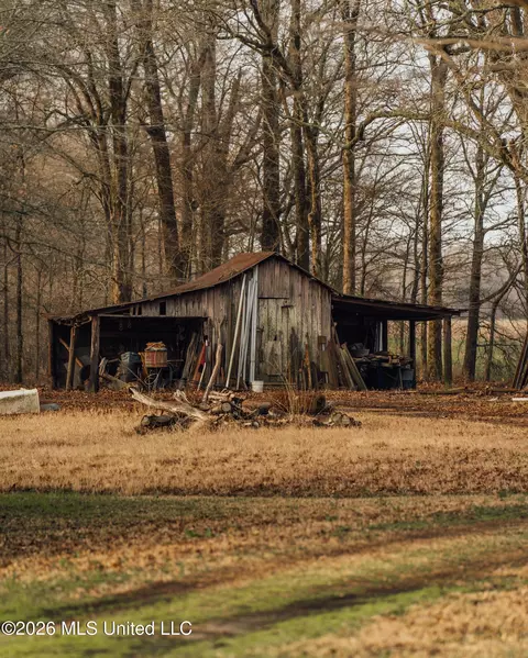 1549 County Road 99, Sidon, MS 38954 photo 40