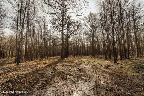 1549 County Road 99, Sidon, MS 38954 photo 31