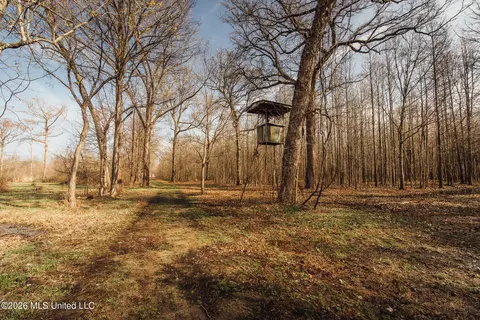 1549 County Road 99, Sidon, MS 38954 photo 30