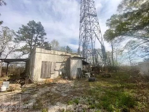 Mississippi 24, Gloster, MS 39638 photo 9