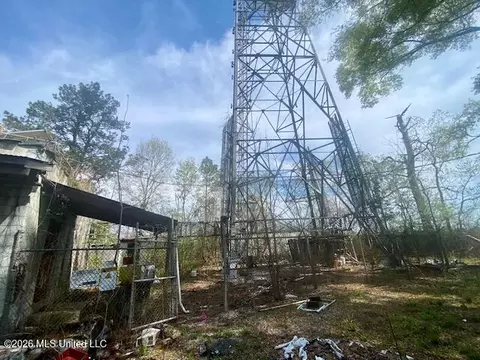 Mississippi 24, Gloster, MS 39638 photo 11