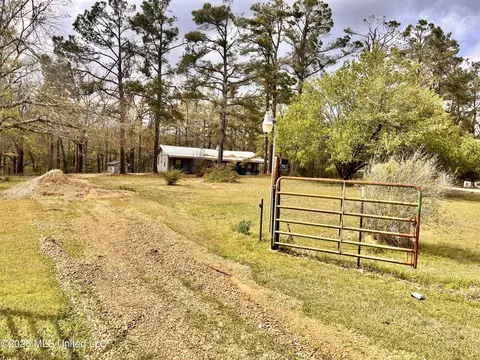 3221 Pine Grove Rd, Hickory Flat, MS 38633 photo 2