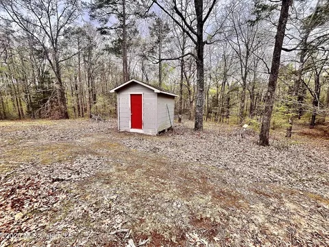 3221 Pine Grove Rd, Hickory Flat, MS 38633 photo 18