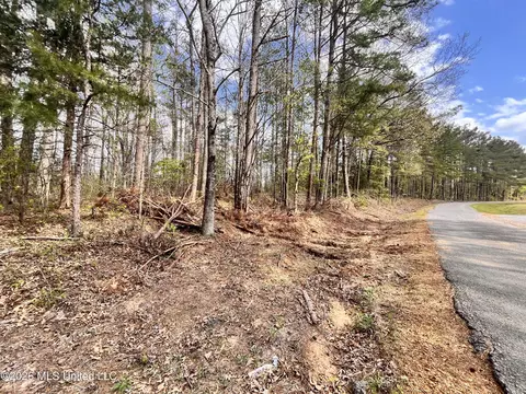 3221 Pine Grove Rd, Hickory Flat, MS 38633 photo 28