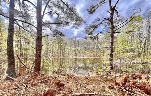 3221 Pine Grove Rd, Hickory Flat, MS 38633 photo 19